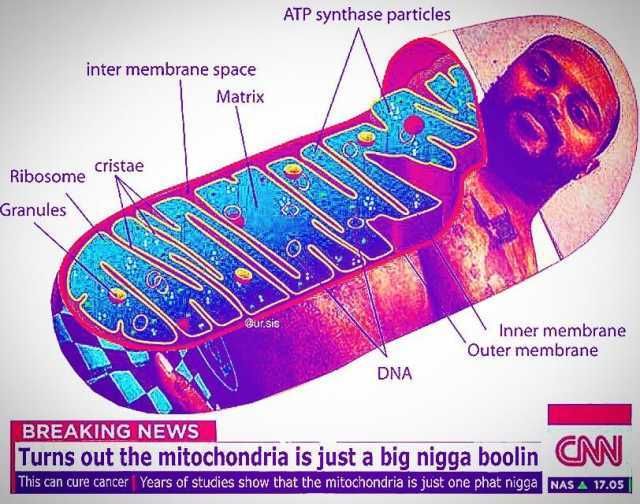 The mofuggin powerhouse