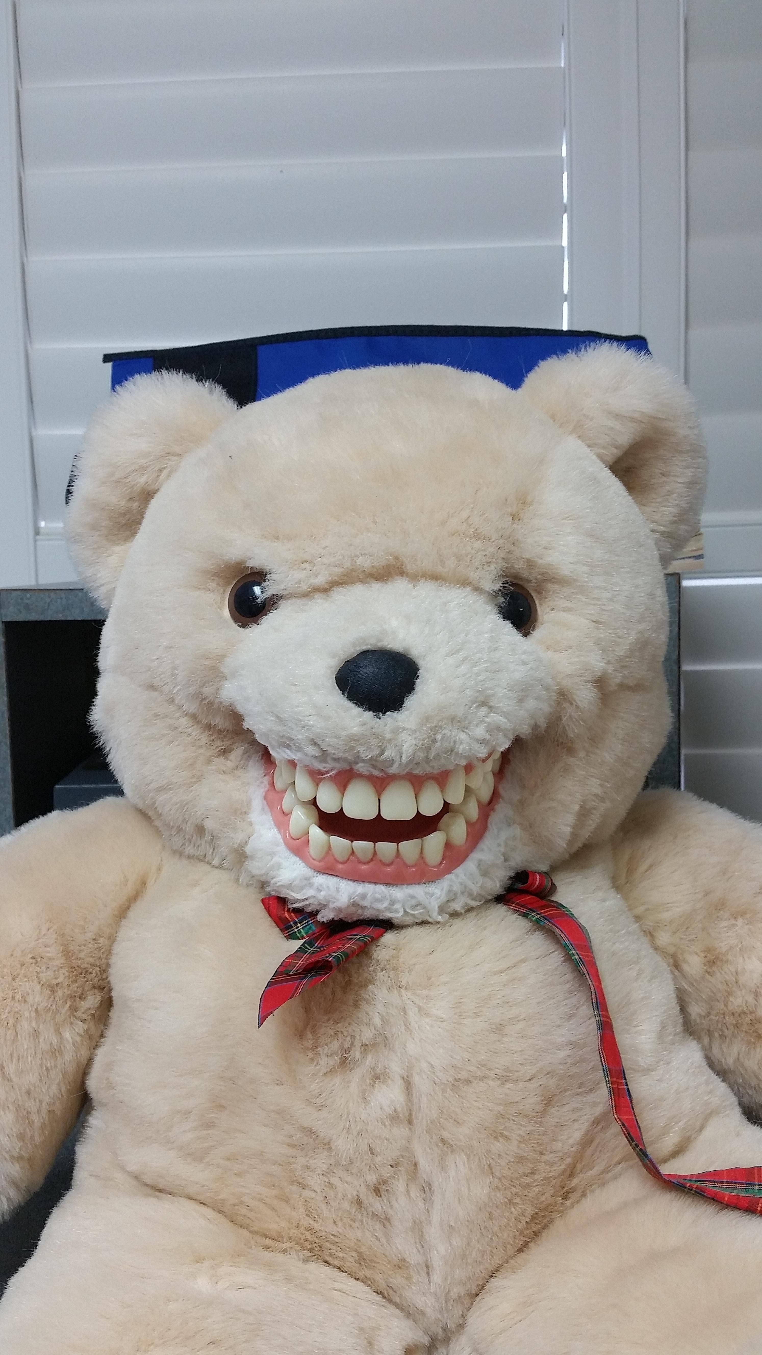 teddy bear with teeth