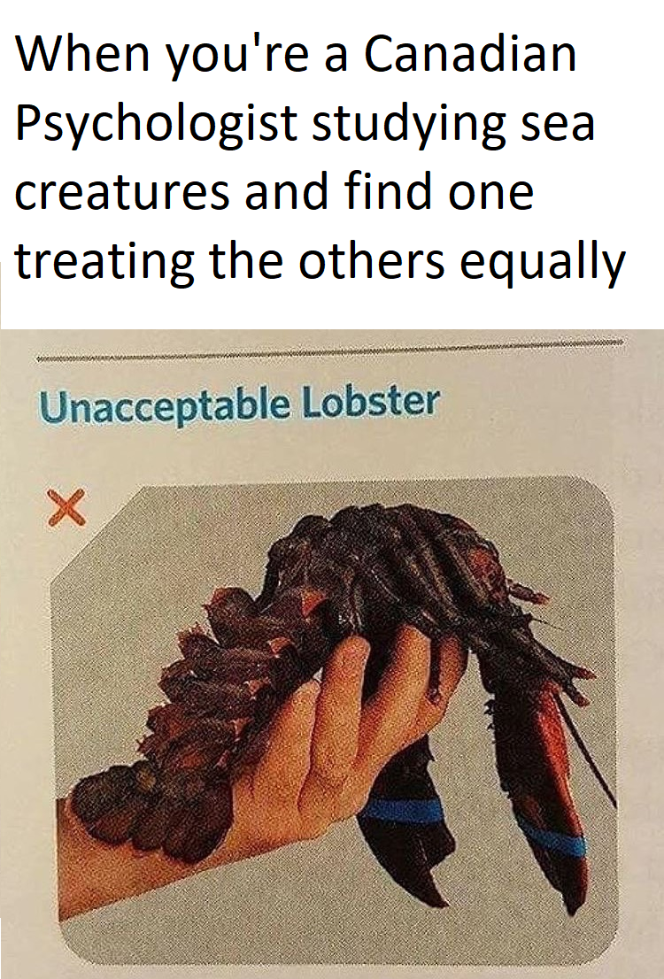 So what you're saying is...