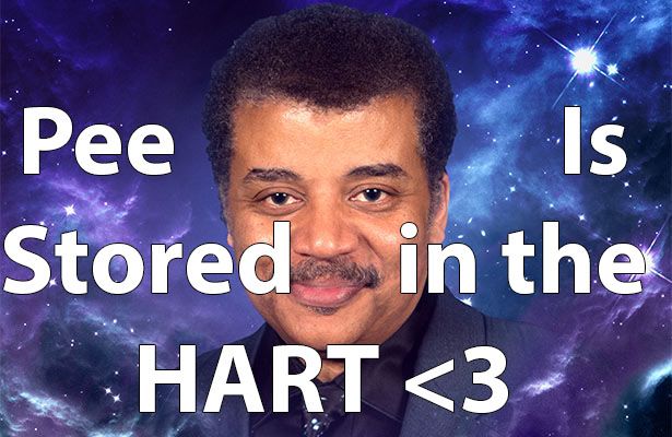 mem review