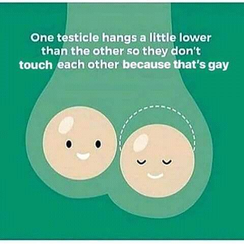 And also if you say 'not homo' than it's also not gay