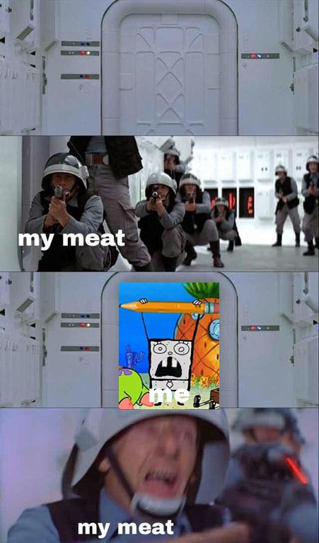 A day in the life