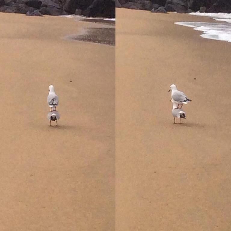 They are learning