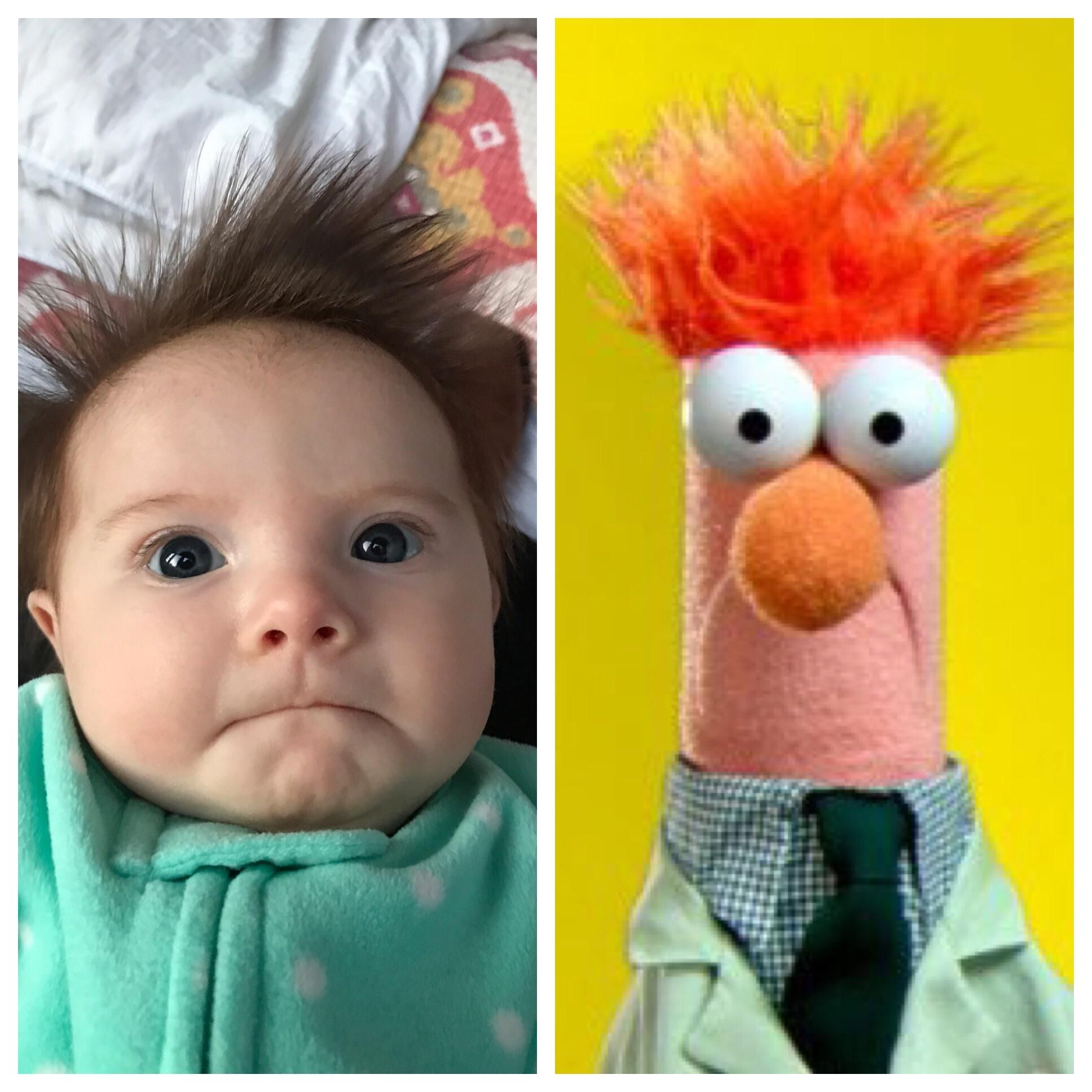 My daughter looks like Beaker from The Muppets.