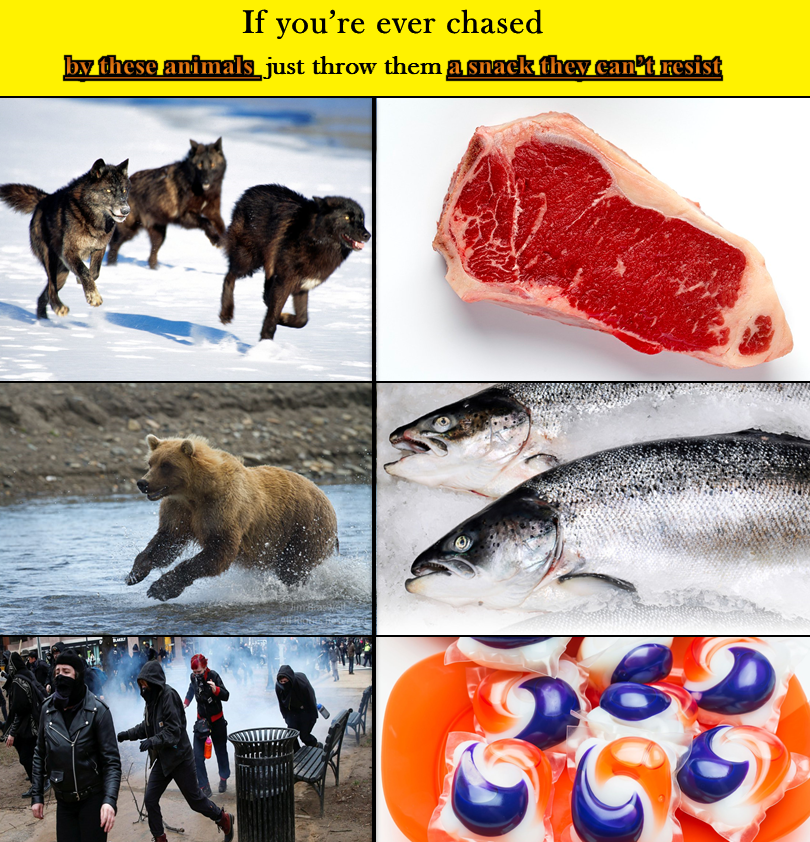 antifa: we are the *eats tide pod* face of the revolution!