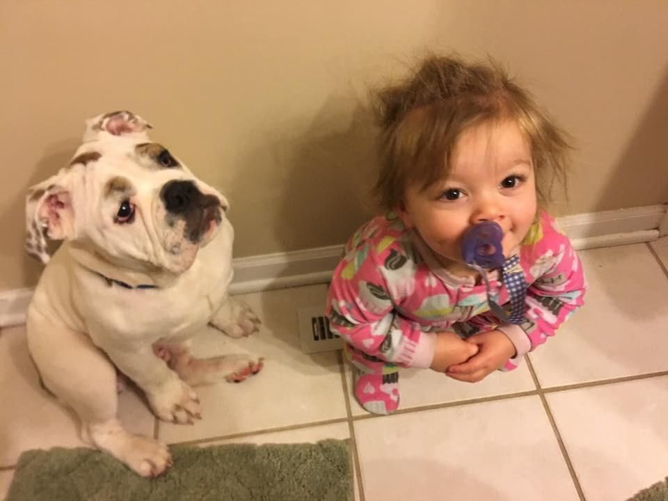 My daughter and my puppy fight over who's going to warm their butt on the vent in the morning. The baby won today. The puppy is pouting about it.