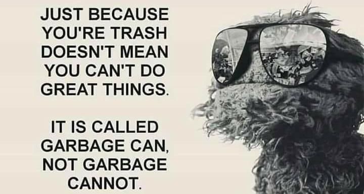 Oscar was a wise old grouch