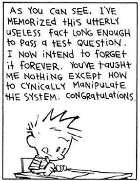 Calvin Has School Figured Out