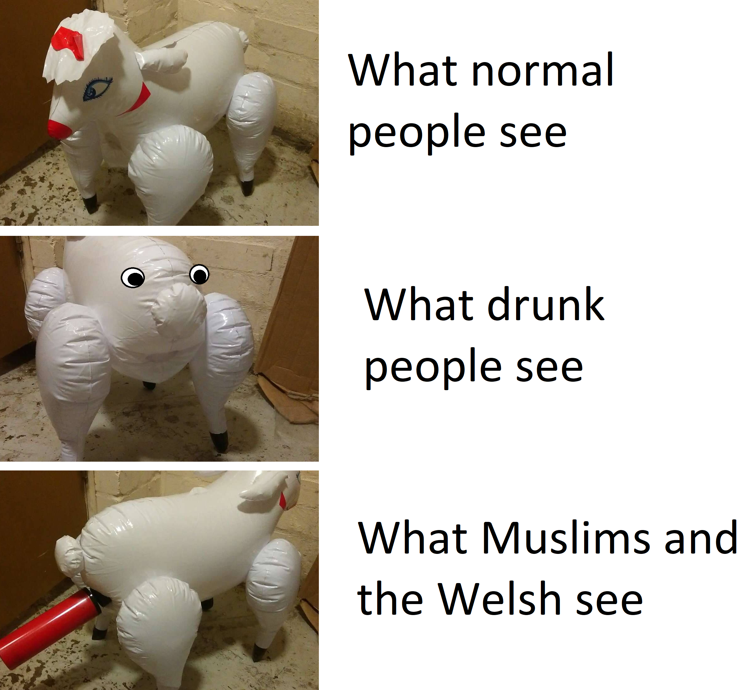Don't ask where I found the toy