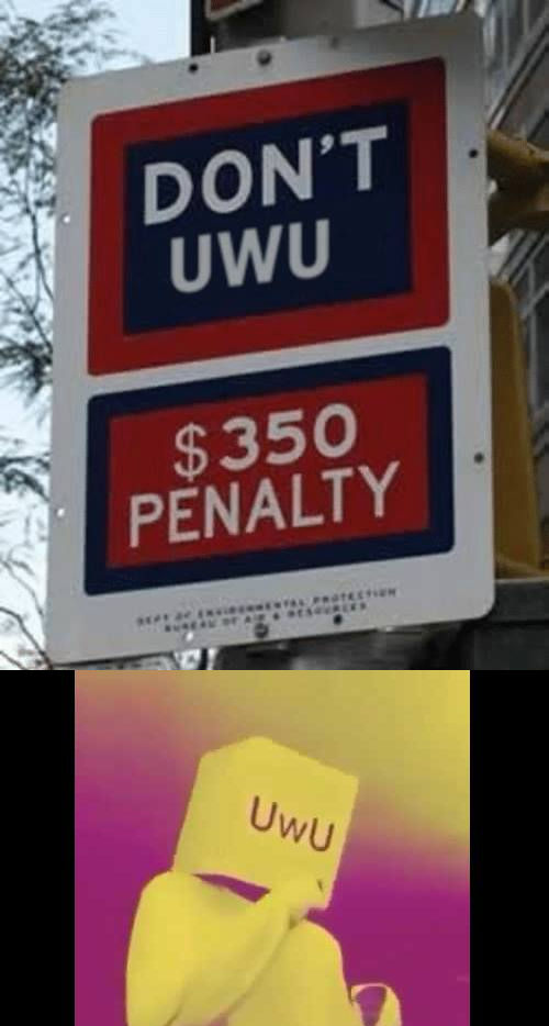 All variations will also be shot