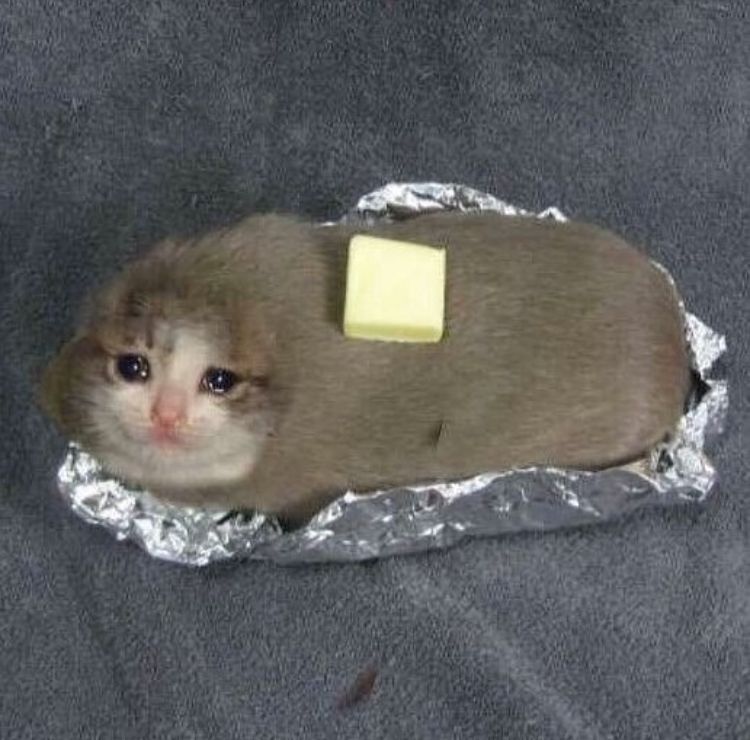 Vines that butter my ... pet?