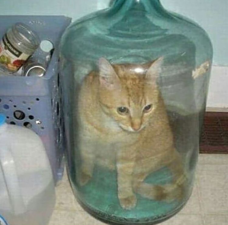 *Break in case of bug