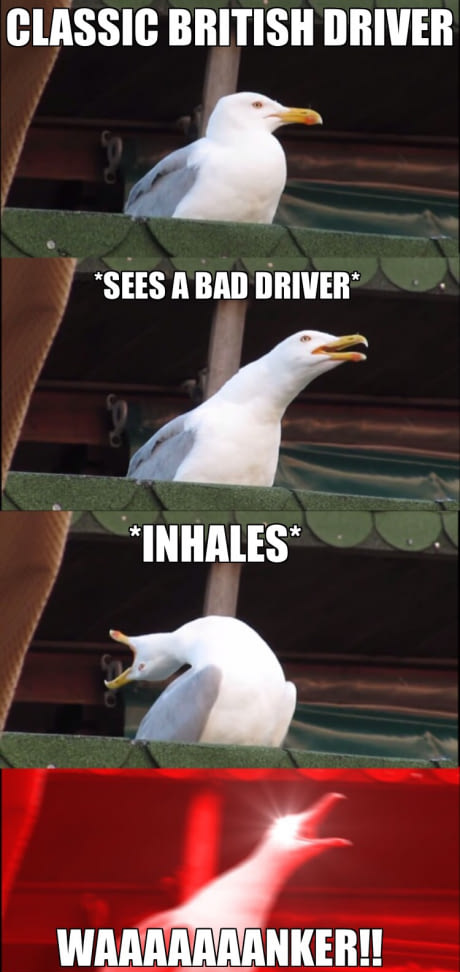 Good Job I'm just a Backseat one...