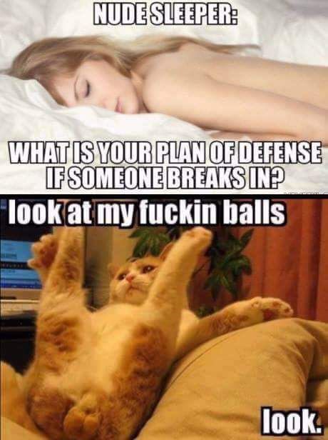 Home defence testicles