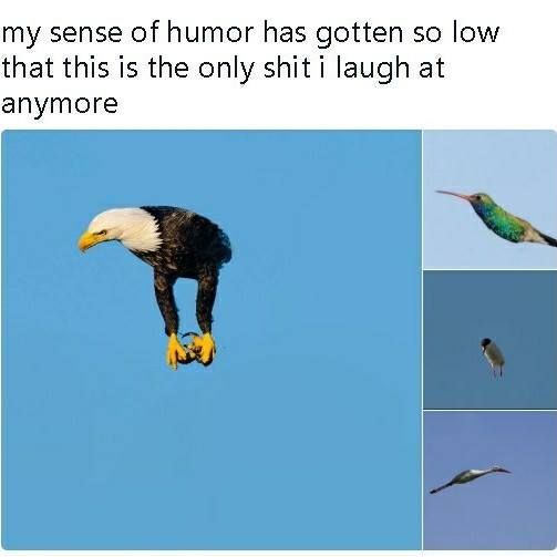 nice.