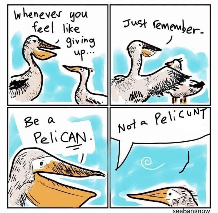 Pelicvnt