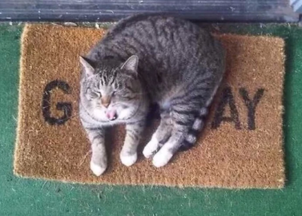 when I see your'RE mom