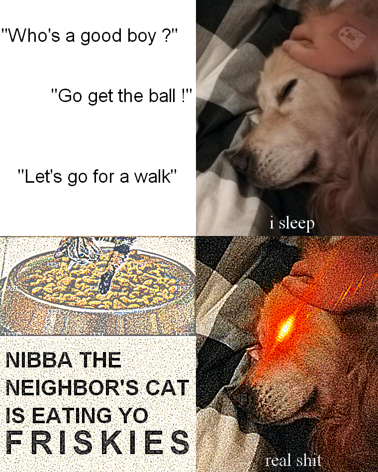 The goodest boi