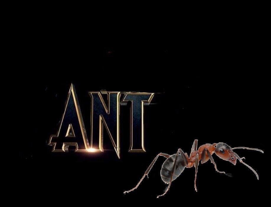 Man
