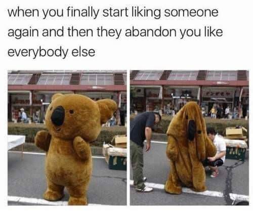 What did you expect