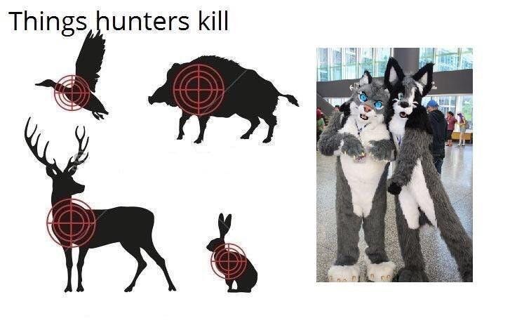It's Furry season boys