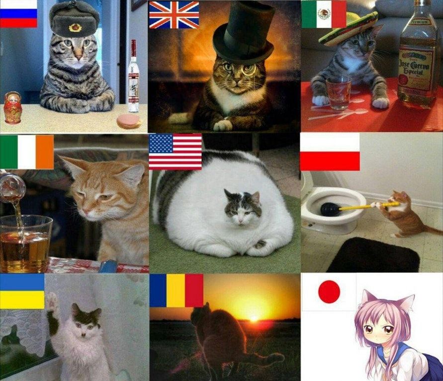 i want all of them