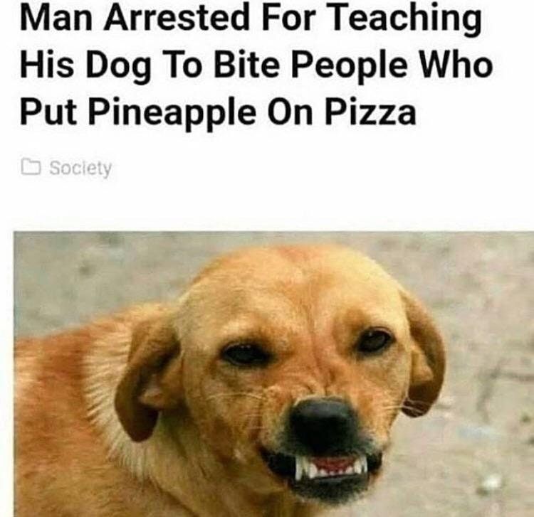 good boi