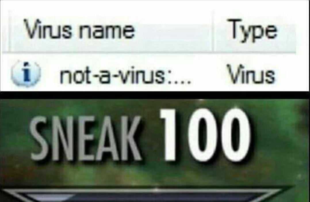 Файл not a virus. Sneak 100. Not a virus Мем. Typed not. Yoda Mast meme.