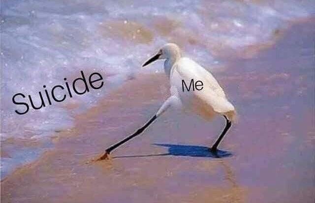 That is me