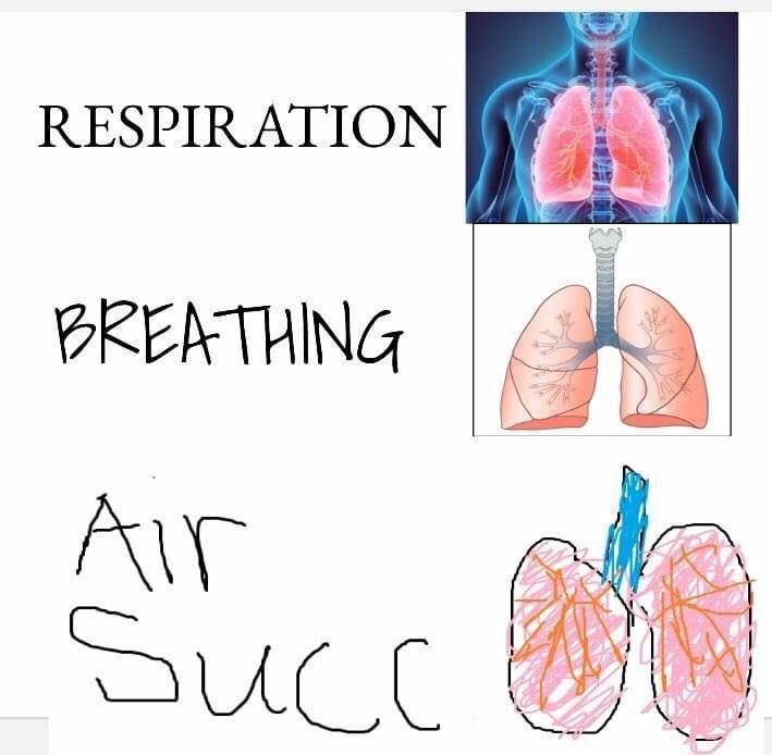 hue