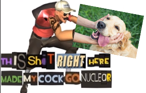 Low quality good doggo meme