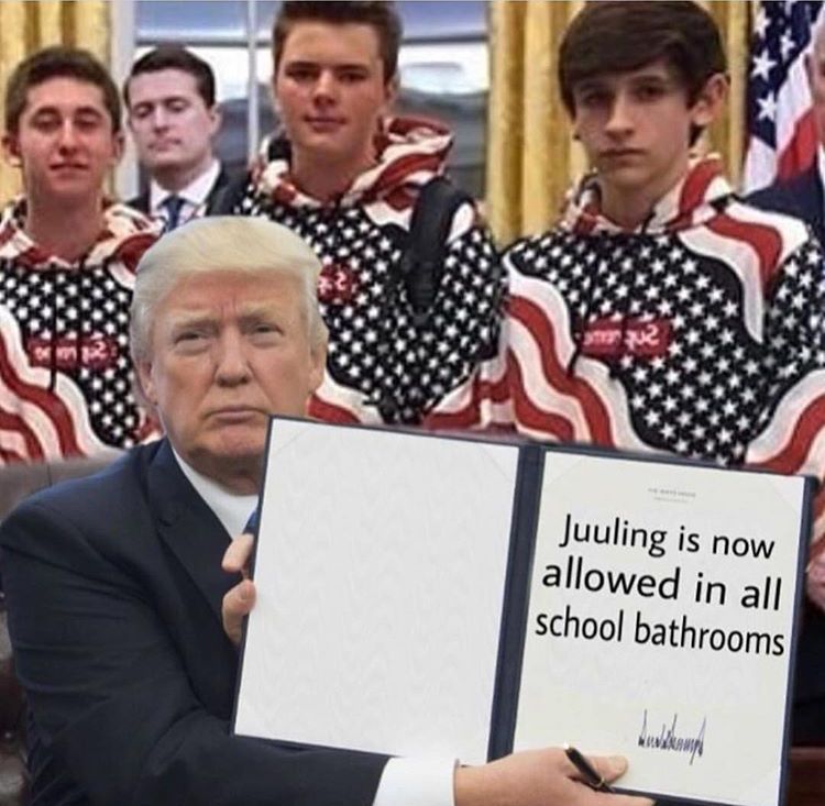 I'm starting to like Trump now...
