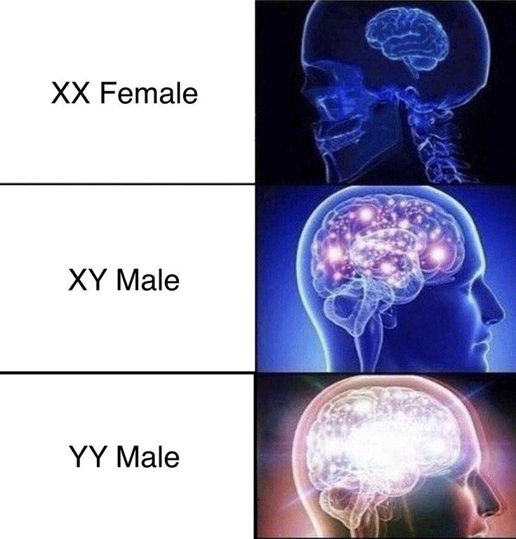 nice