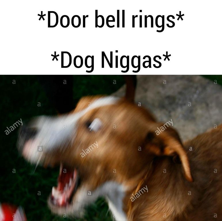 Woof has Four letters