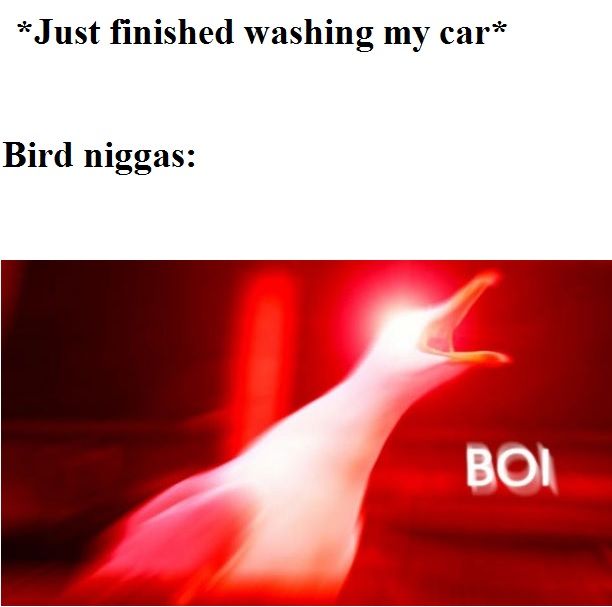 Joining this shitpost
