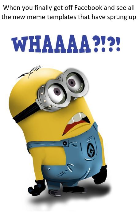 Le epic meme bro