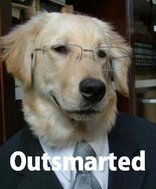 mfw i bork at the other dog in the mirror and he leaves