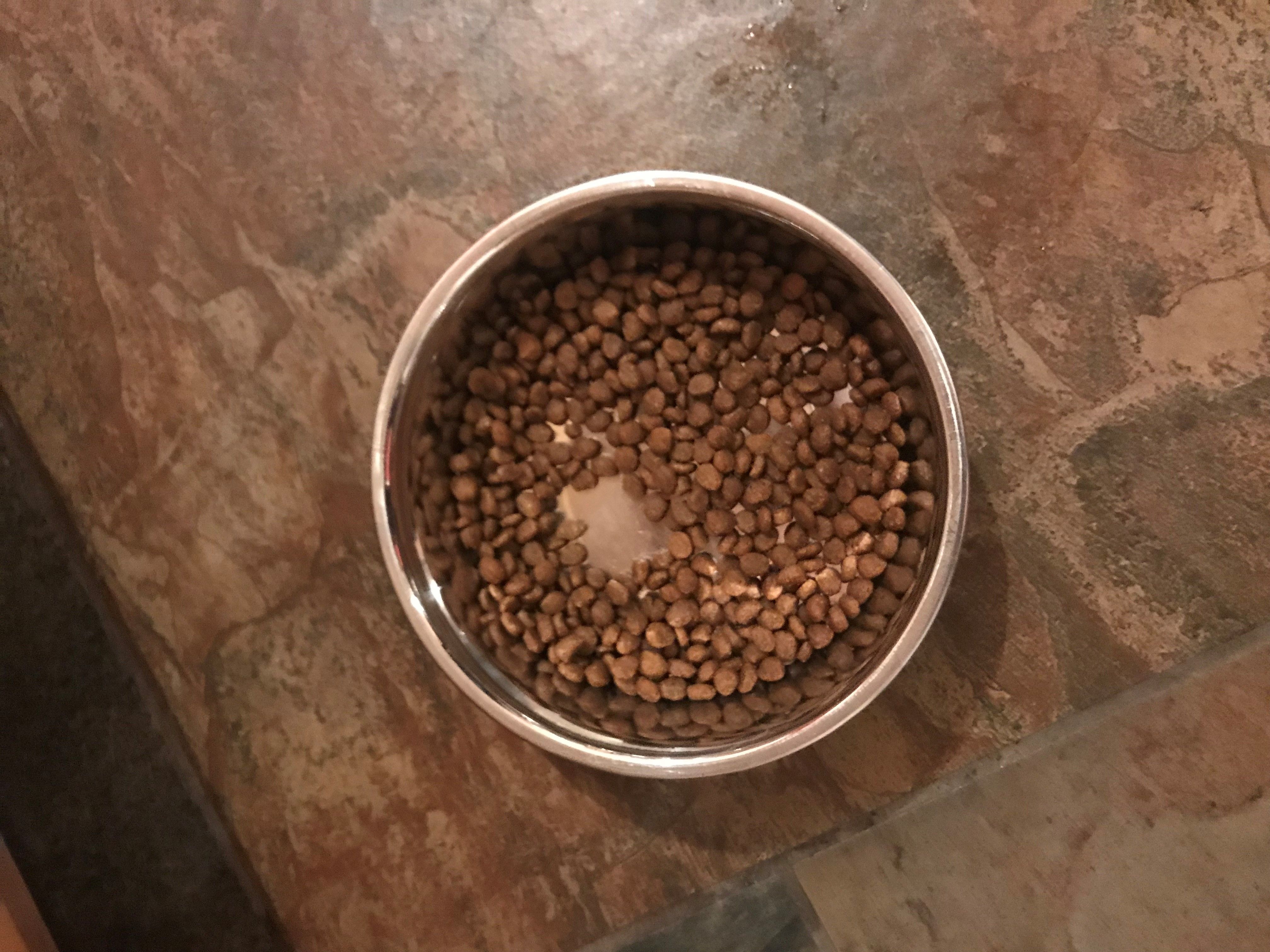 This is cat for, "there's no food in the bowl."