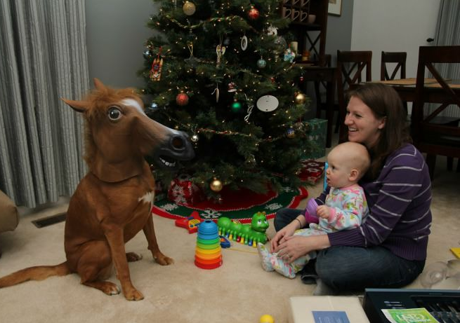 This baby girl got a pony for xmas