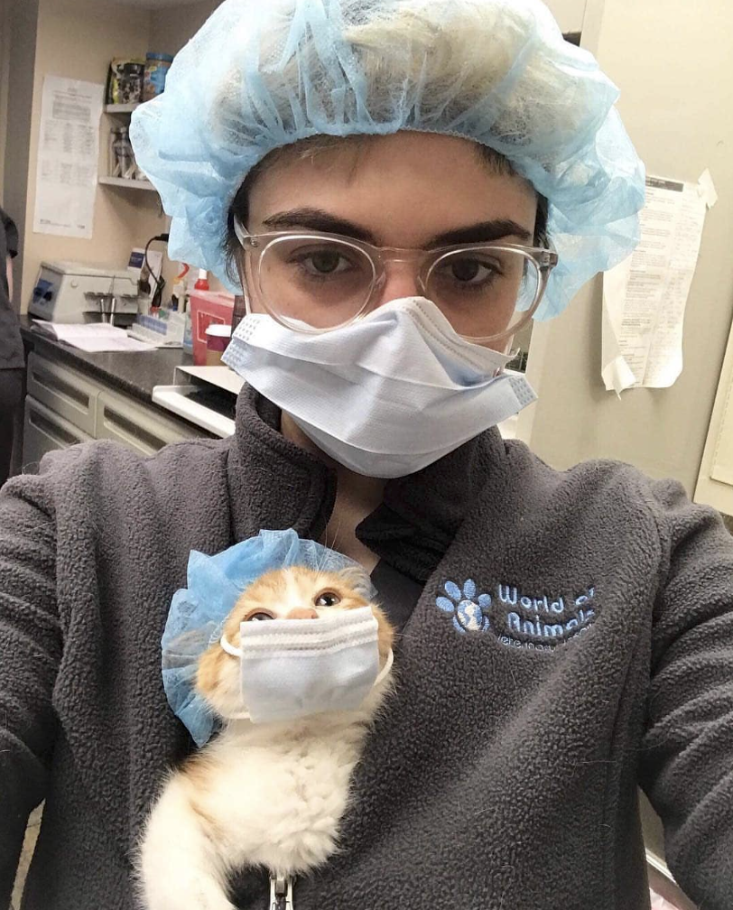 The doctor will see you meow