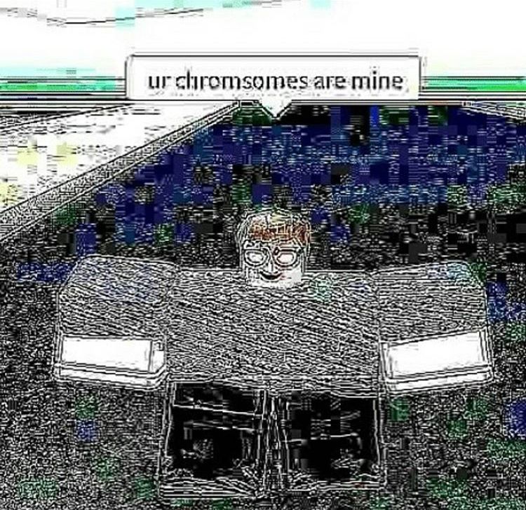 Ow no Roblox Rick is coming to get me