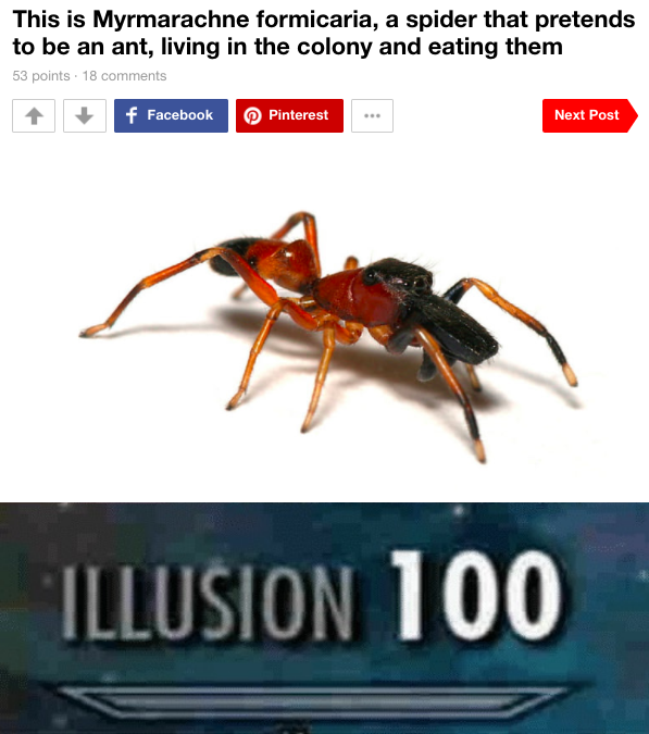 how do you do, fellow ants?