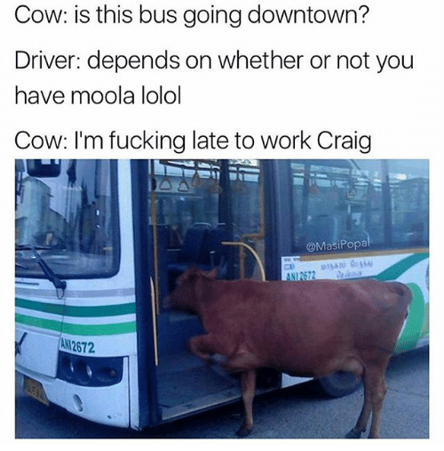 ffs Craig please moooove on
