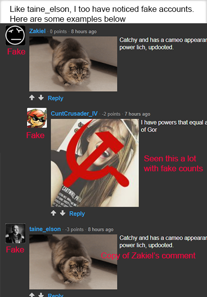 Fake Accounts
