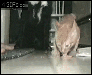 GTFO, its mine,