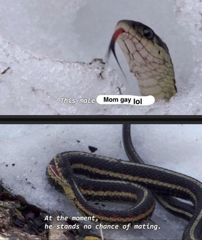 Relatable