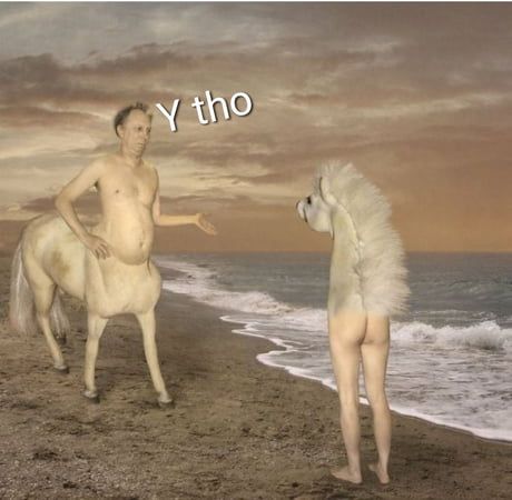 When your ass is a horse and your horse is an ass
