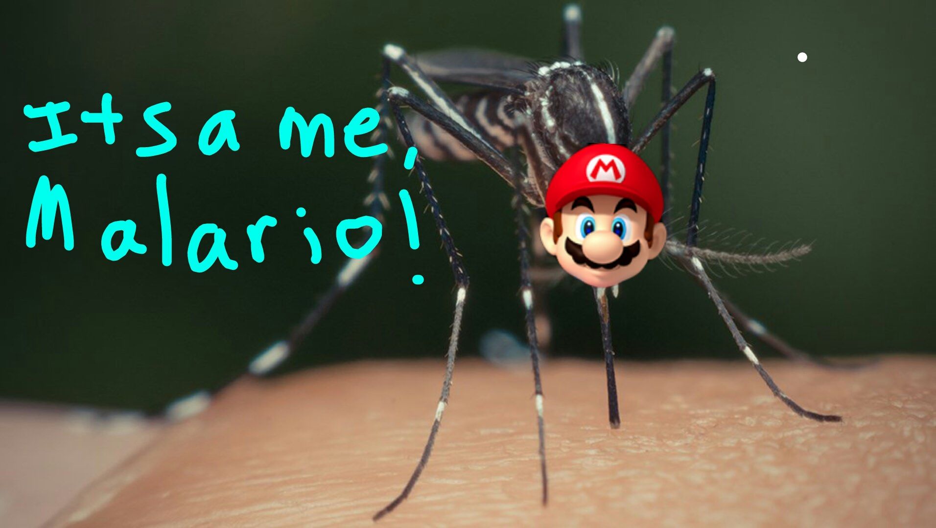 It's a me, Malario!