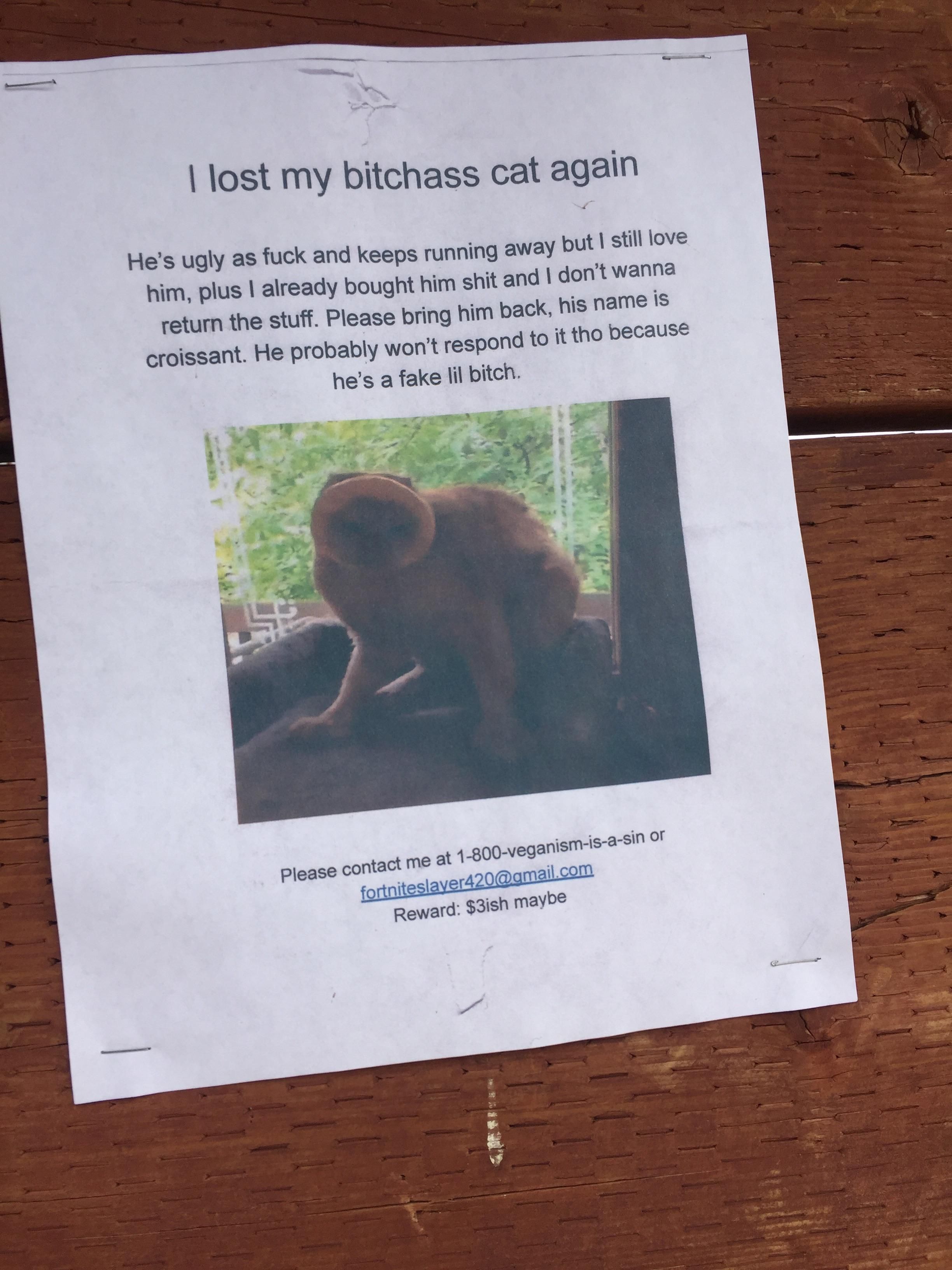 Someone lost their cat at my school and this is how they notified their peers...
