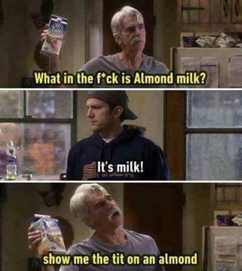Where does almond milk come from, anyway? Always been curious.